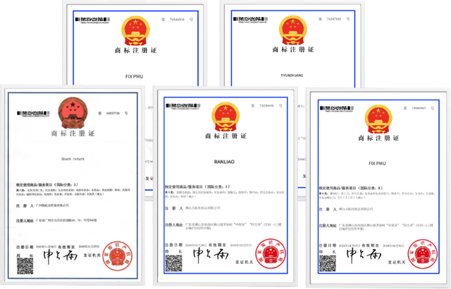 Sê -ri Báo cáo kiểm tra chất lượng máy xăm